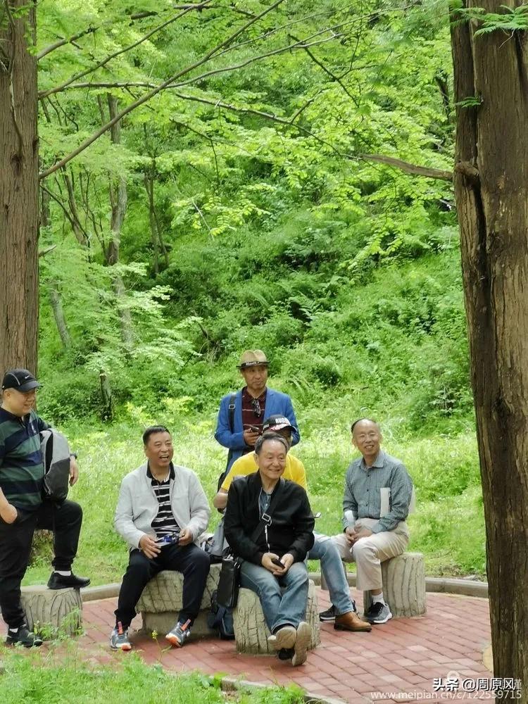 赴一场春日的邀约,五月赴一场与槐花的约会