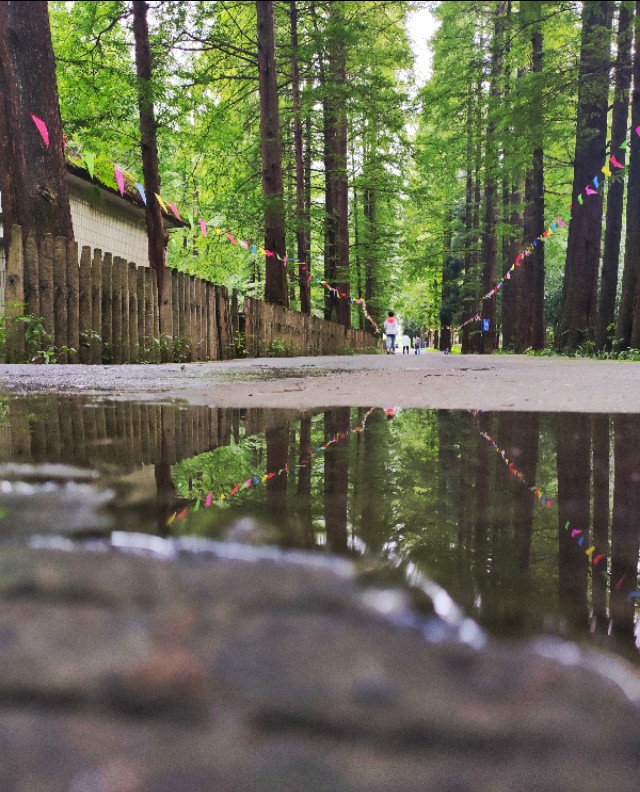 华蓥仰天窝，扎营不错的选择，约不？