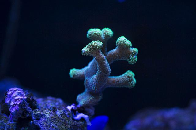 你真的了解俄罗斯吗,太平洋到底有多深