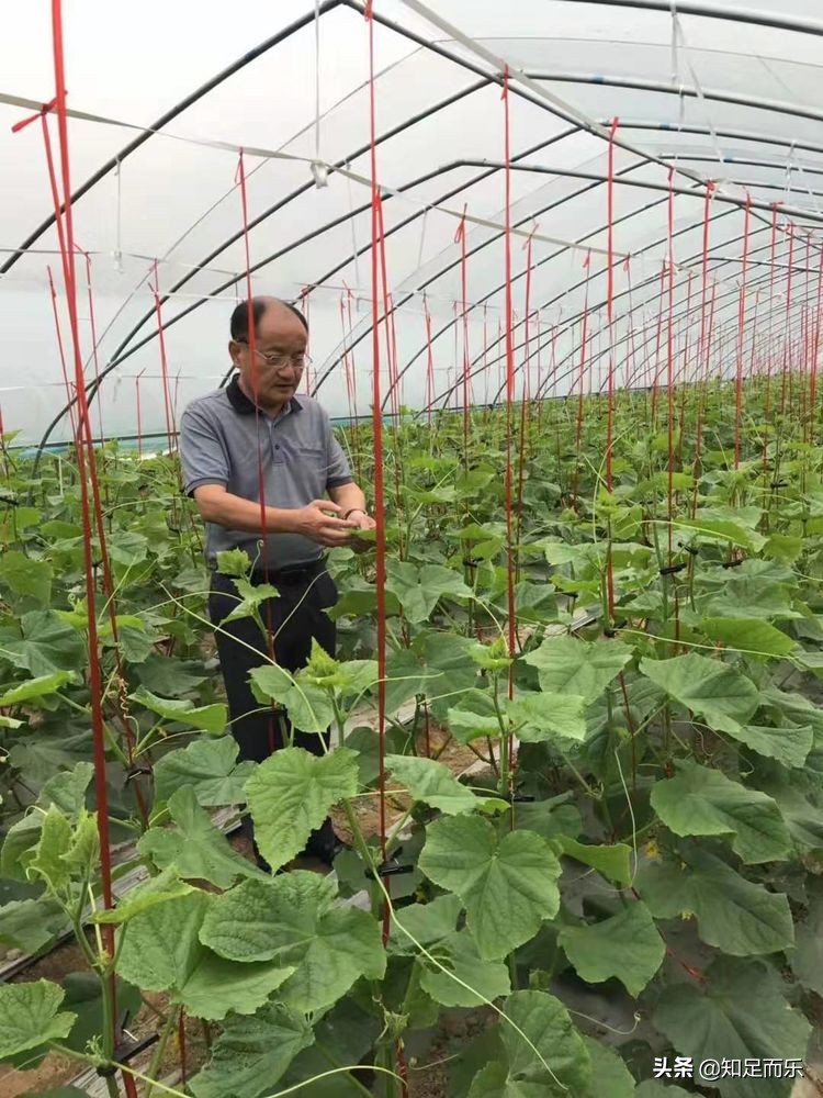 温暖2019！随州何店镇这些“草根”的事迹感动全城......