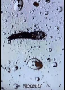 明星亲测|康王创始人83岁再出山，挑战5天内不洗头