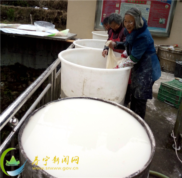 寿宁地瓜粉制作过程,寿宁煎泥鳅裹地瓜粉