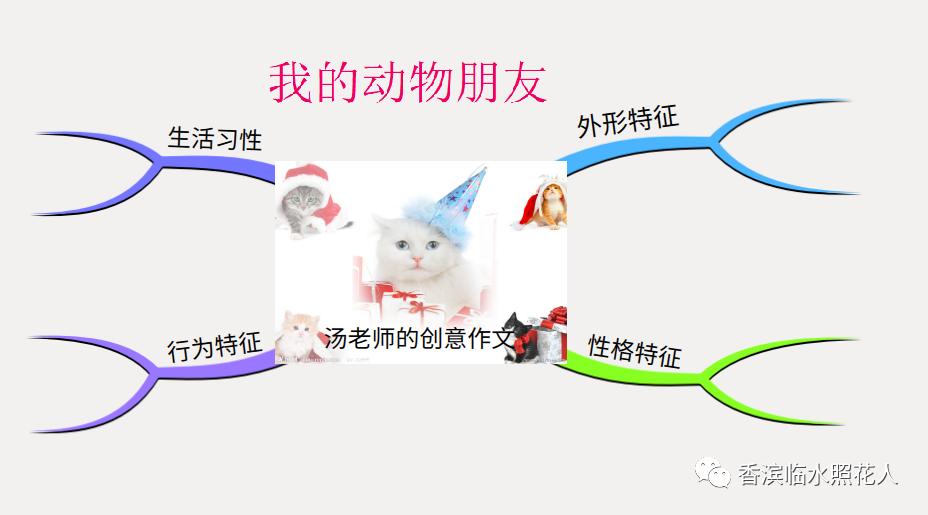 思维导图我的动物朋友,四年级习作我的动物朋友导图