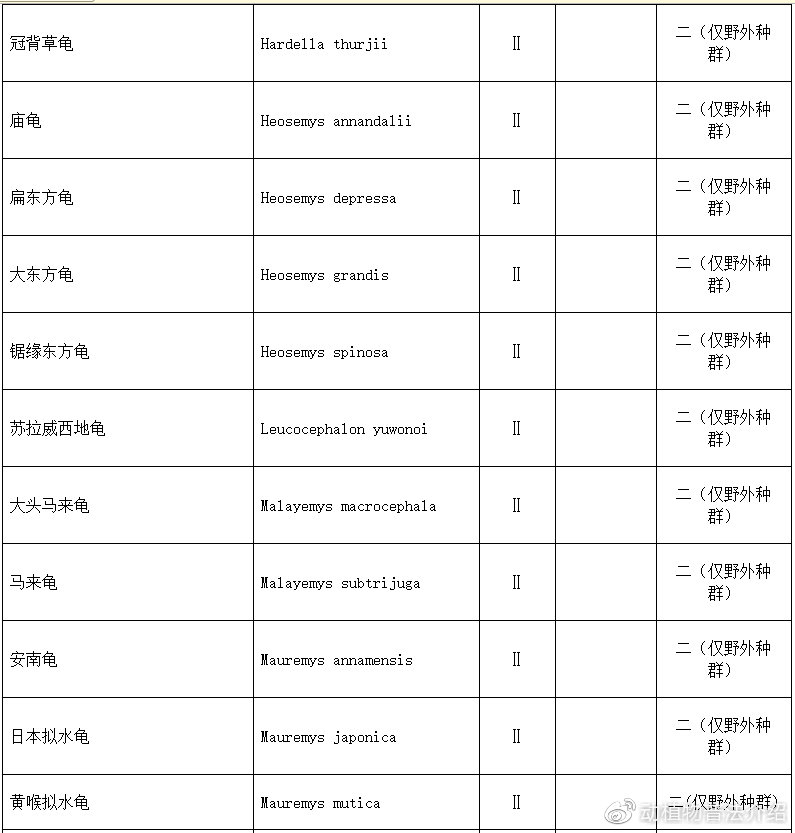 匠志萌宠乐园教学,匠志萌宠
