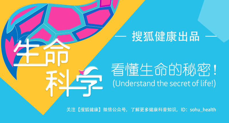 游泳后全身皮疹发痒，是不是撒尿的人太多了？