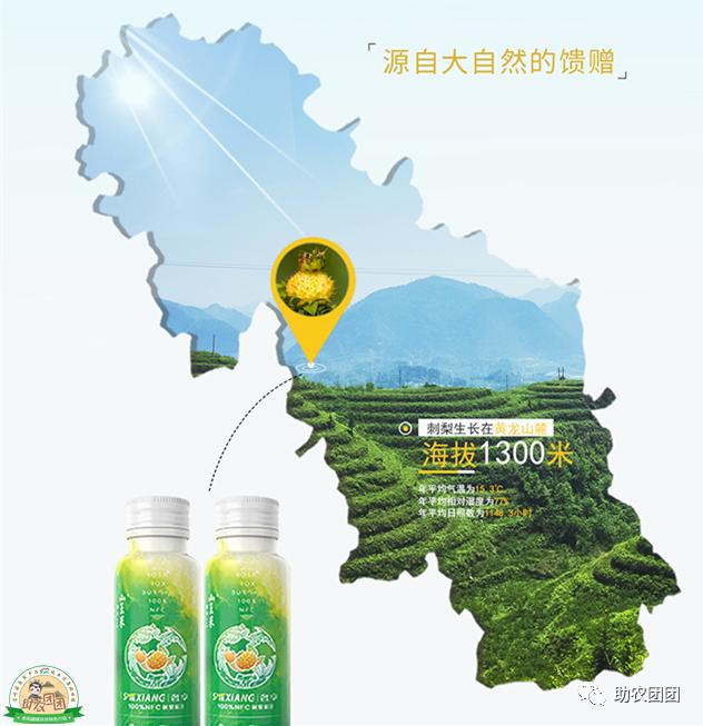 贵州助农团团最新视频,助农团团直播回放