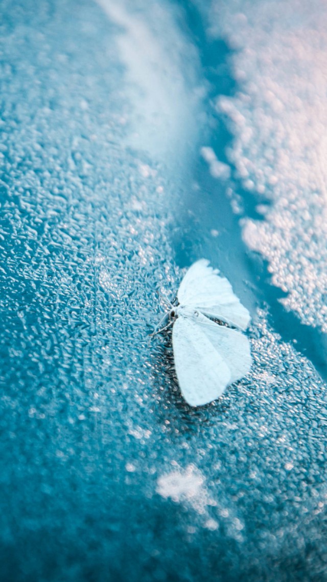 治愈系蓝色壁纸,壁纸超清唯美蓝色