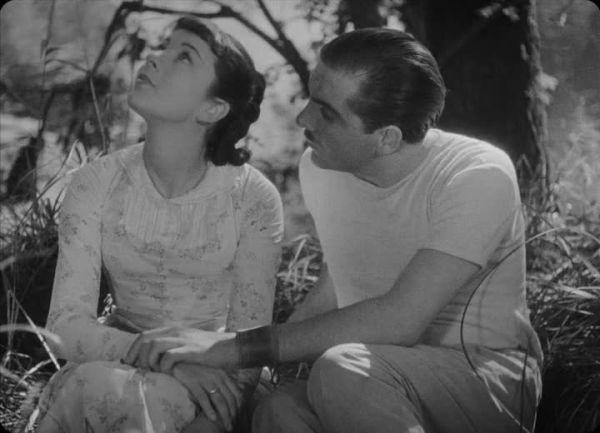 莫泊桑野餐的含义,莫泊桑短篇小说选《一次野餐》