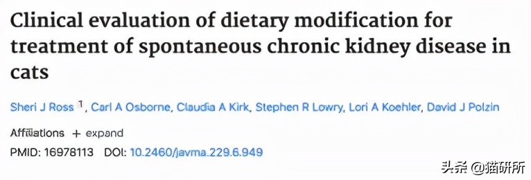 老年猫肾衰的最佳治疗方法,老年猫肾病怎么治疗