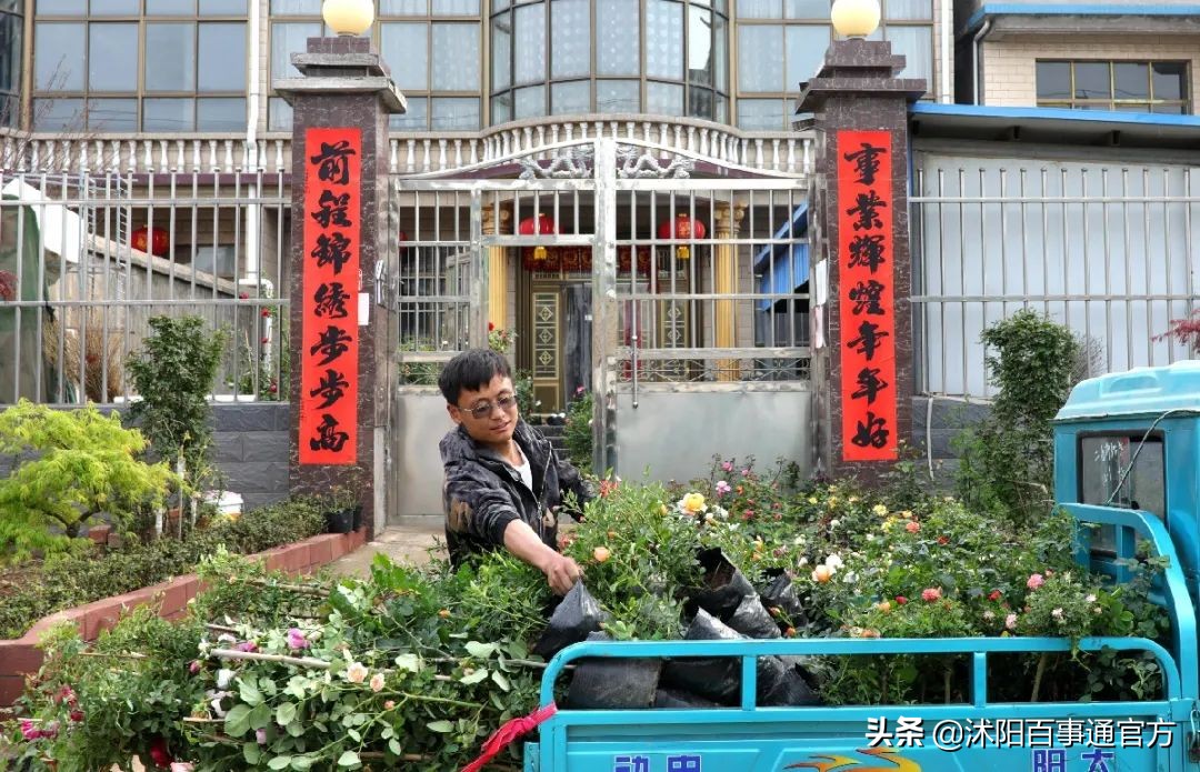 沭阳23个重大项目是哪些,沭阳重点发展的4个城镇