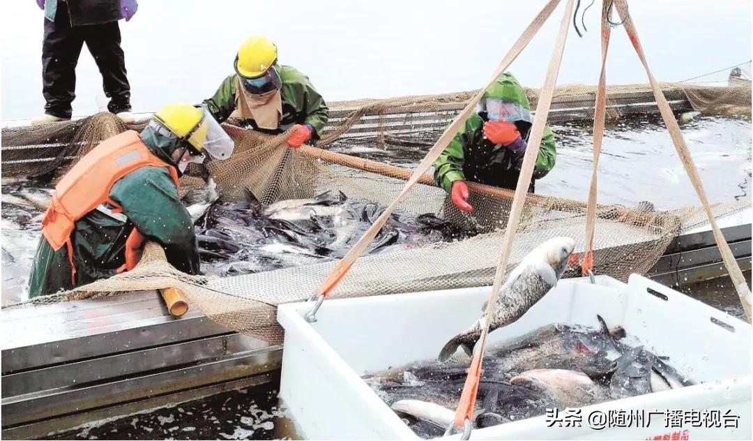 婀栧寳鐗㈣鍢辨墭鎰熸仼濂嬭繘,鐗㈣鍢辨墭鎰熸仼濂嬭繘鍥界敾