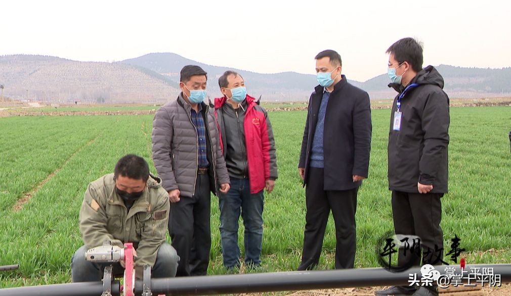 平阴县各村第一书记,平阴县第一书记