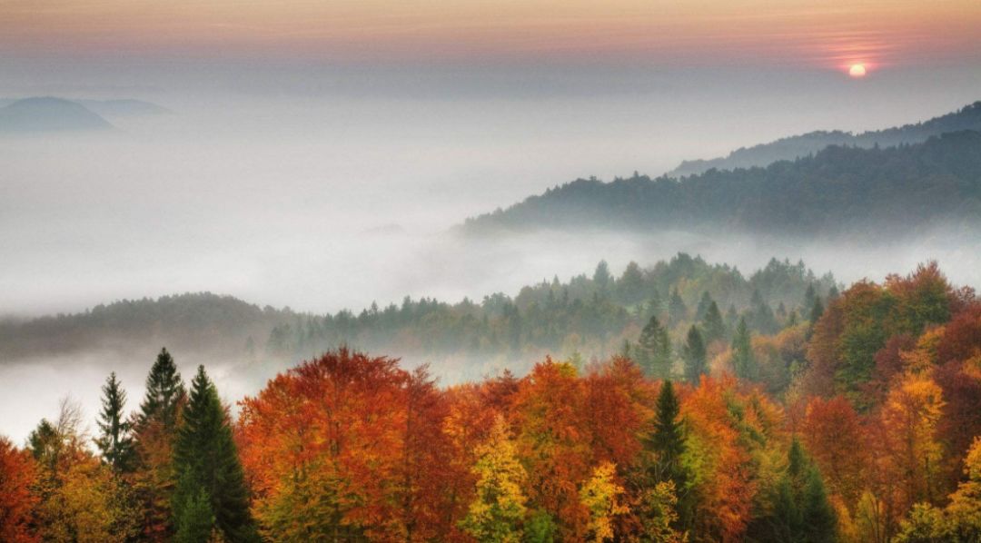 秋郊作诗词,秋意境优美古诗词