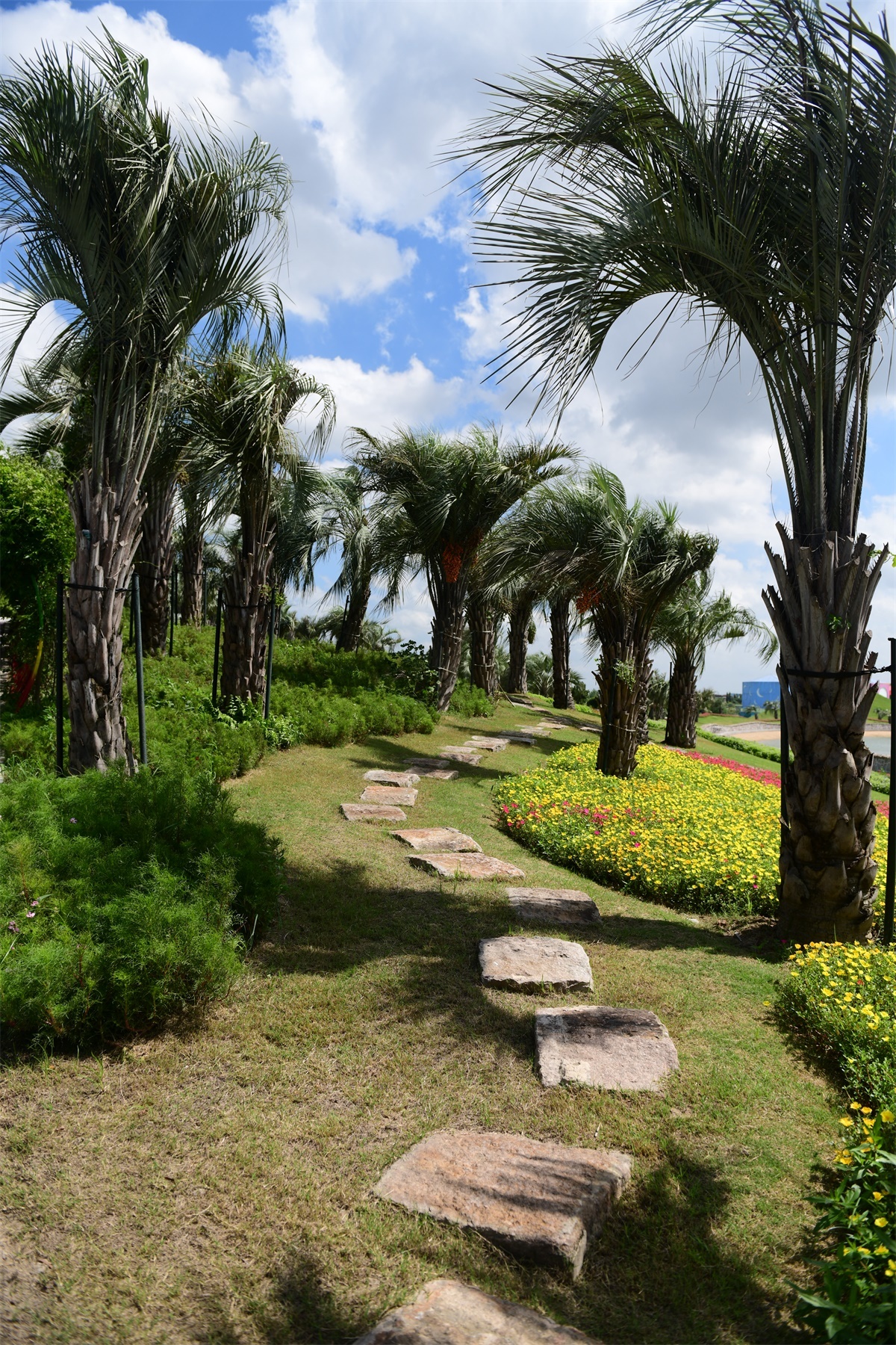 南通绿博园室内,南通绿博园风景