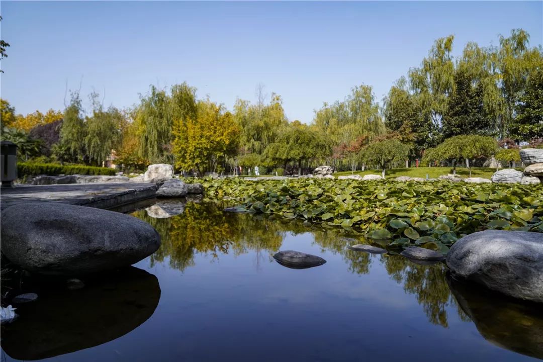 思源学院美景照片,西安思源学院秋景色