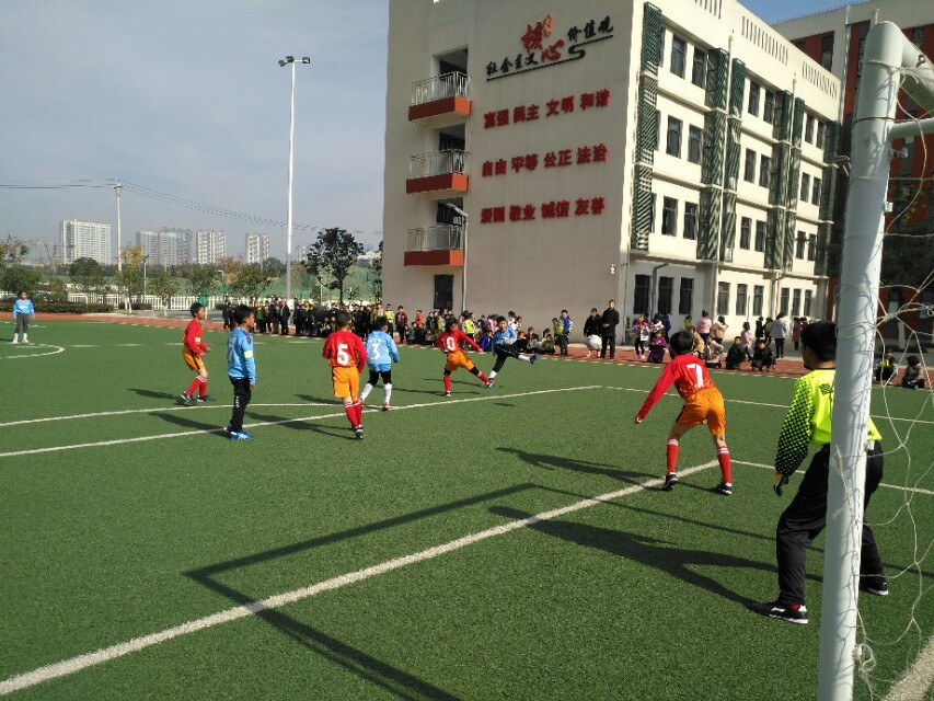 激情盛夏绿茵赛场展雄风,激情飞扬绿茵赛场