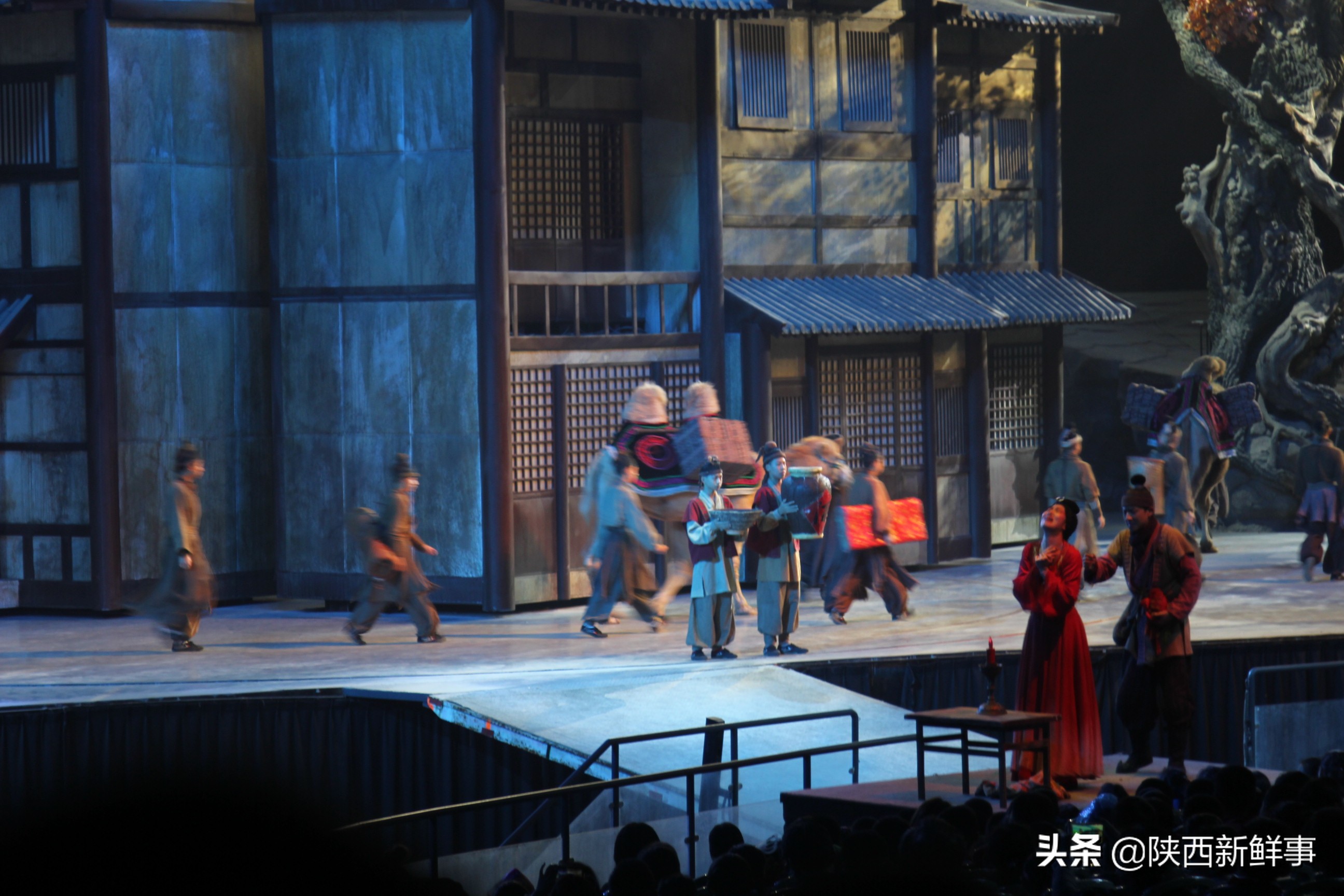 放飞海洋梦想感受丝绸传奇观后感,放飞海洋梦想感受丝路传奇研学题