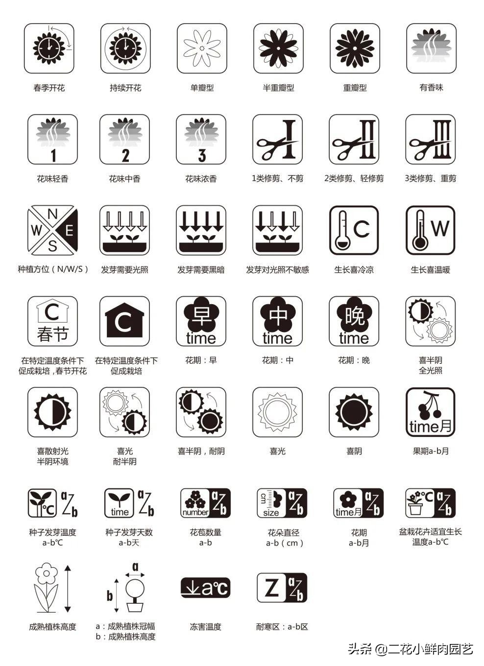 鍥壓鑺卞崏绉嶆鐭ヨ瘑鍏ラ棬,鑺卞崏鍥壓濡備綍鍏ラ棬