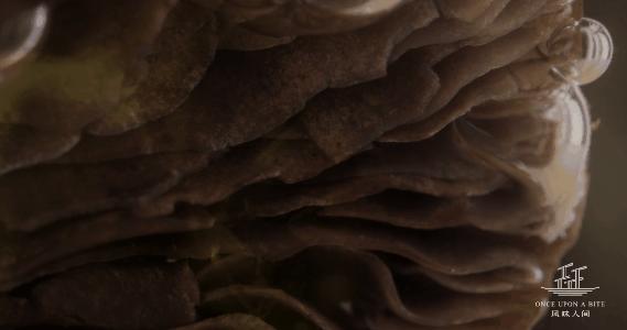 楦℃儏鍥涘皠闊╁紡鐐搁浮浼樻儬鍥㈣喘,楦℃儏鍥涘皠