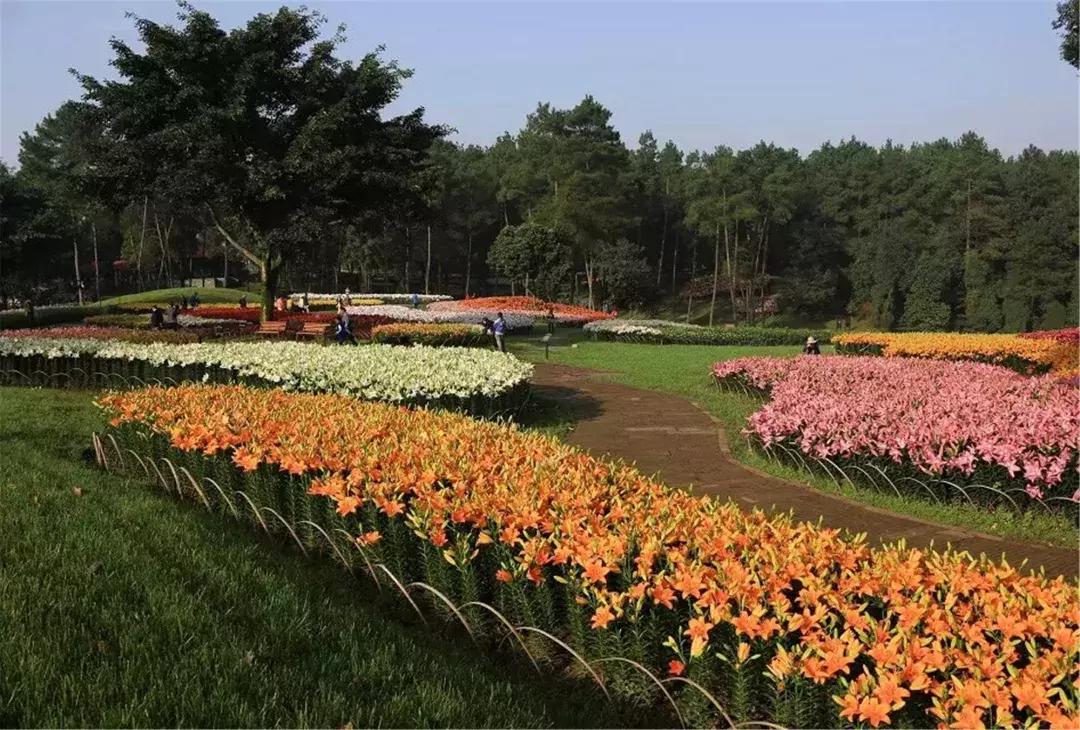 中秋优惠团购景区,团购石象湖门票