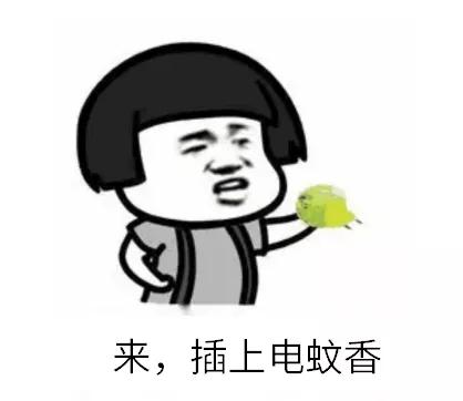 灭蚊虫的小妙招夏天,驱蚊小妙招轻松搞定蚊虫