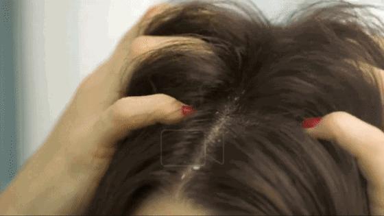 海飞丝和飘柔洗发水哪个是国货,海飞丝日本进口洗发水