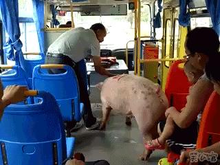 哈哈哈哈如何高情商回复,哈哈怎么幽默回答