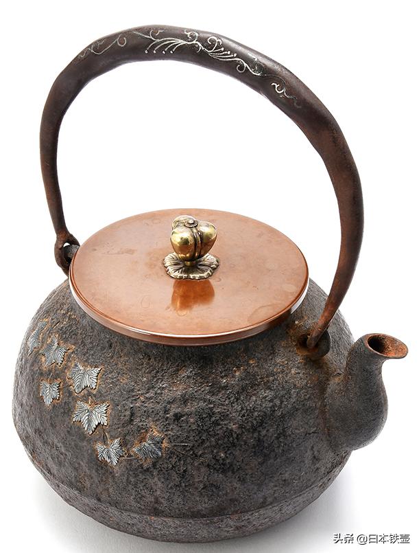 如何挑选铁壶,日本明治时期龙文堂铁壶