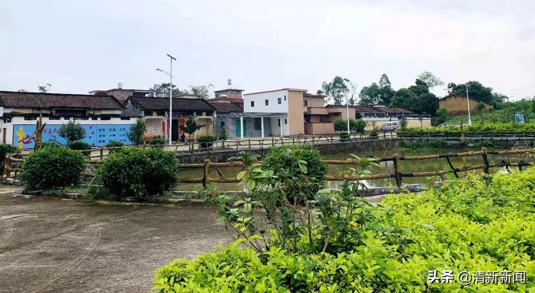 三坑75岁“拳痴”重出江湖？厉害！