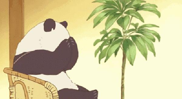 女孩减肥真的服气,女生减肥到底有多拼