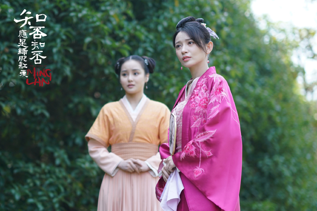 知否柳氏墨兰,知否原著墨兰和吴大娘子