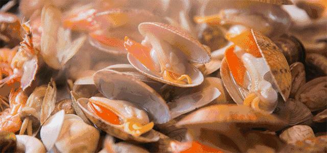 秦皇岛禁渔期码头还能买贝类吗,秦皇岛禁渔期海鲜怎么来的