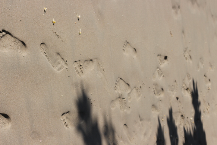 泰国象岛旅游自由行,象岛穷游攻略