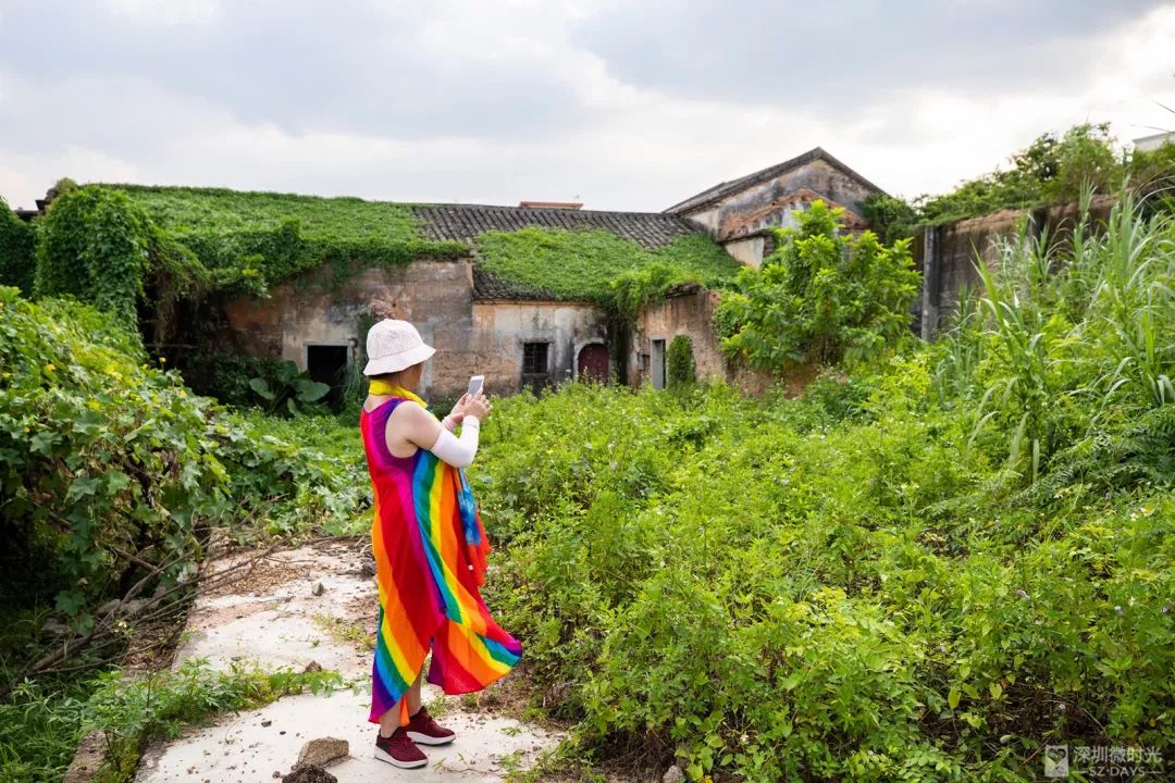 实探豪宅top10,岭南客家豪宅