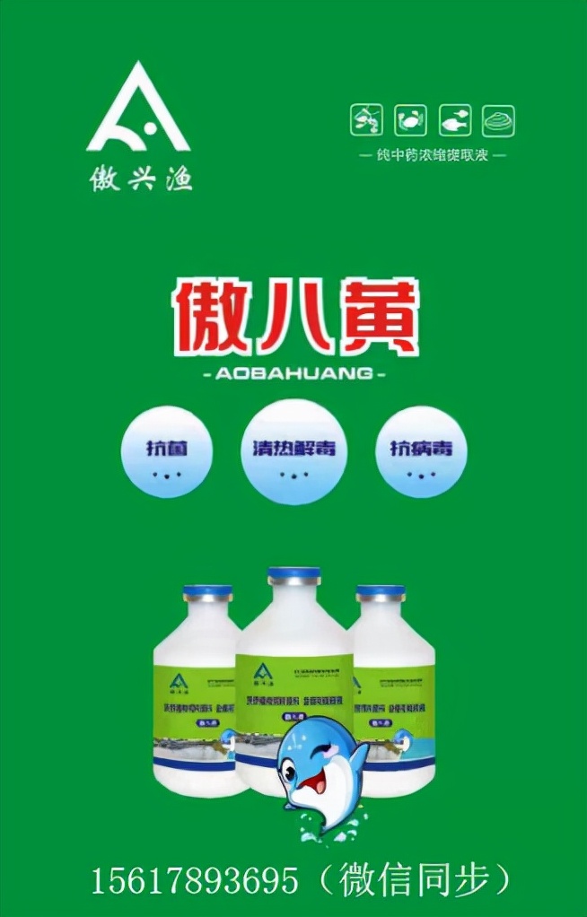 草鱼烂头烂身治疗方法,今年春季草鱼大量死亡原因与防治