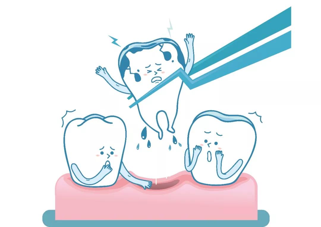 可可爱爱的小老虎能养吗,可可爱爱的猫科动物
