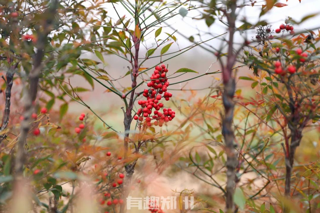 郑州周边人少清静有山有水的地方,郑州人少的公园适合野营