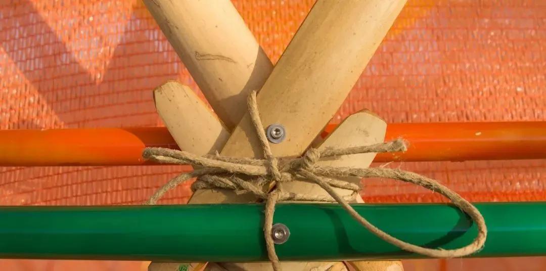 设计师在非洲做了个花篮，用来向天空借水