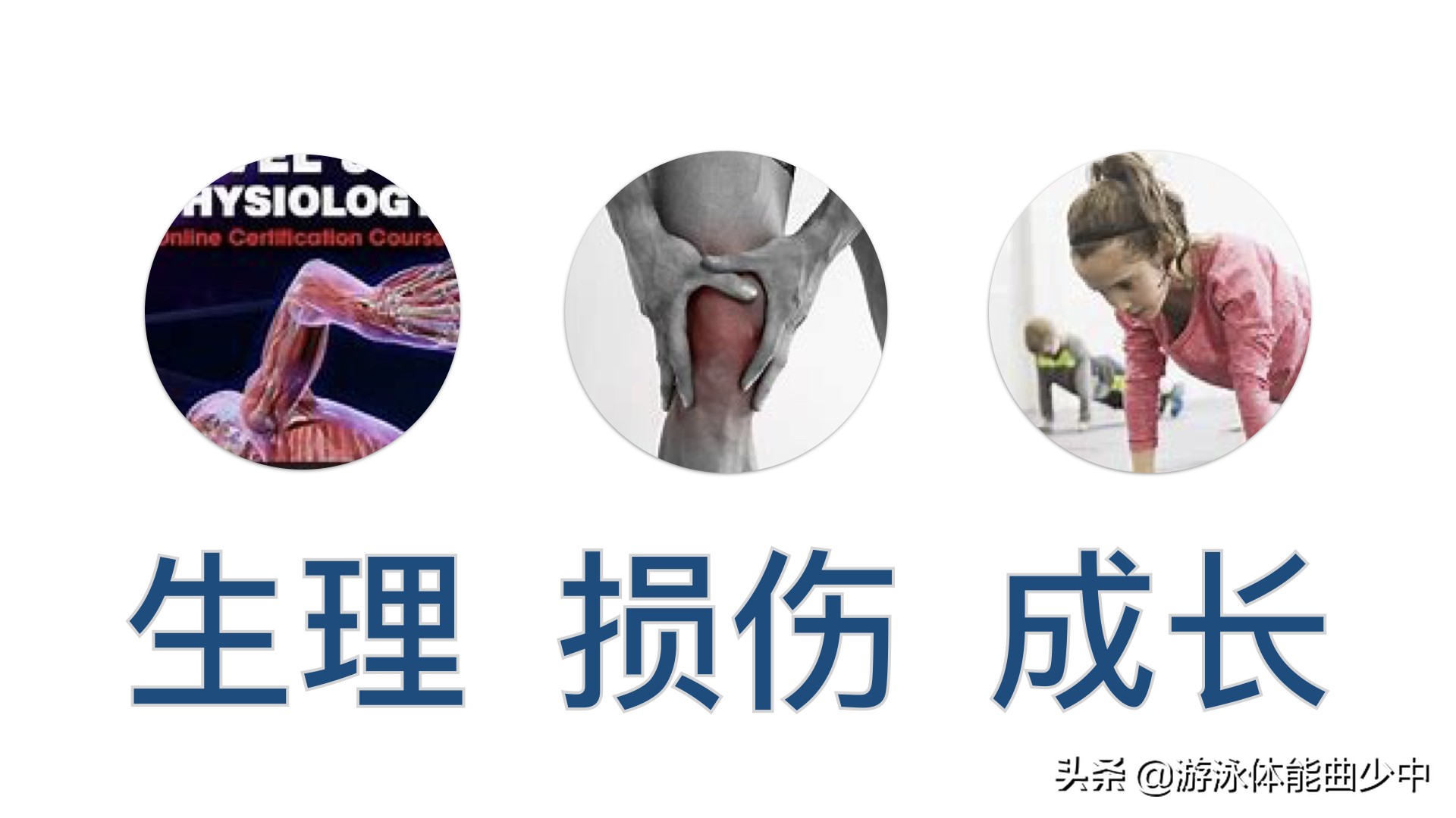 蛙泳腿的四个动作如何做得好,蛙泳腿的完整动作练习