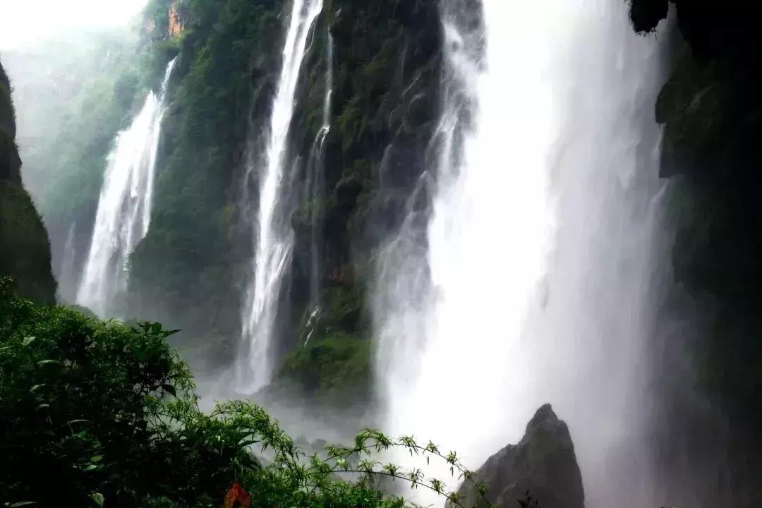 广东人去贵州门票半价,贵州广东人免门票景区