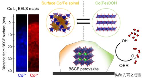 催化周报：Science、JACS、Angew、AM等大合集