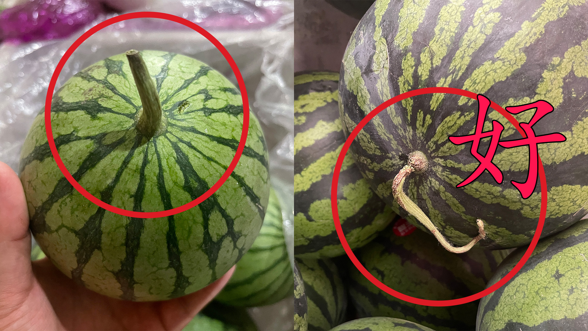 西瓜甜不甜四种挑法,怎么辨认西瓜甜不甜的小妙招