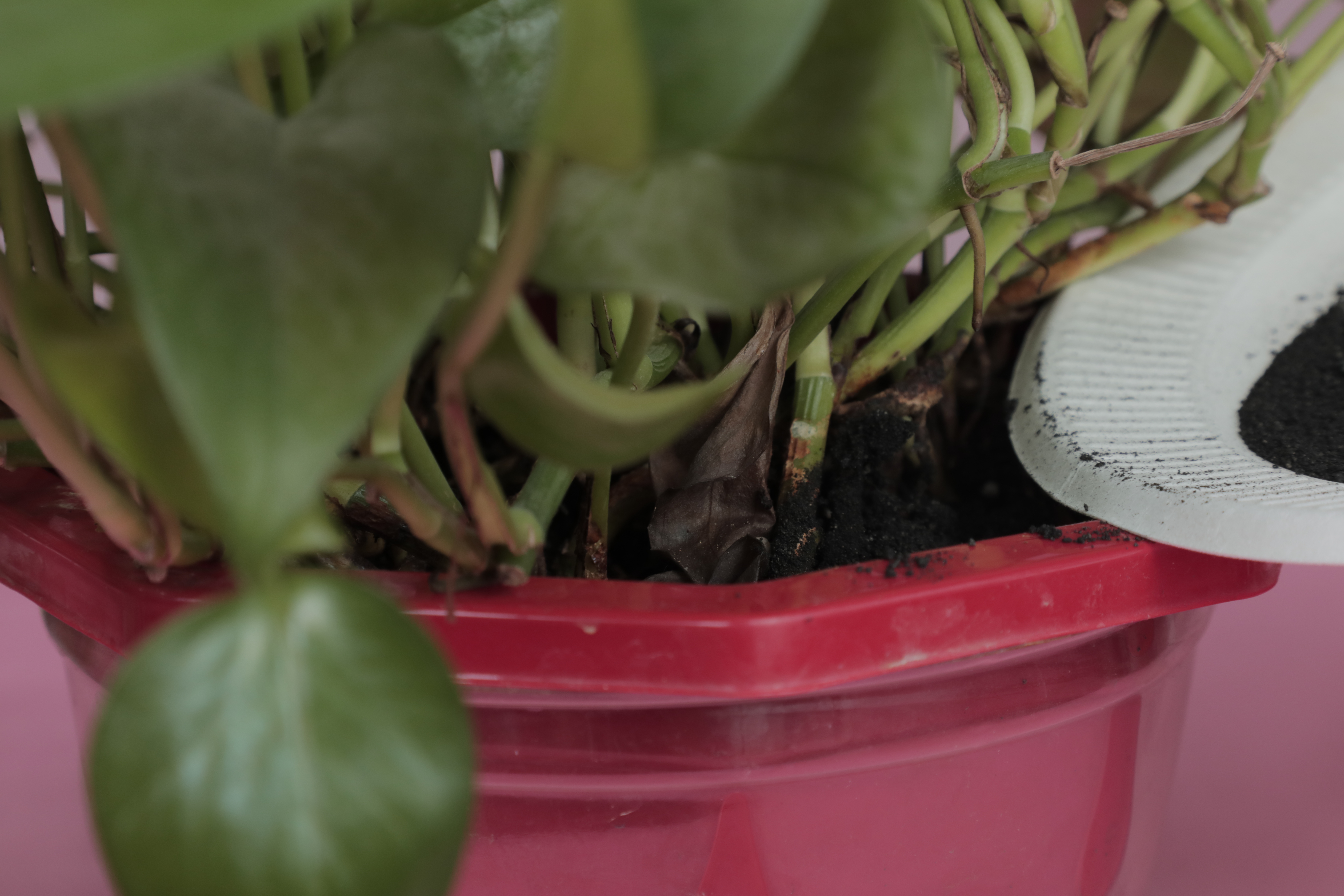 经常用的暖宝宝,如何正确用暖宝宝