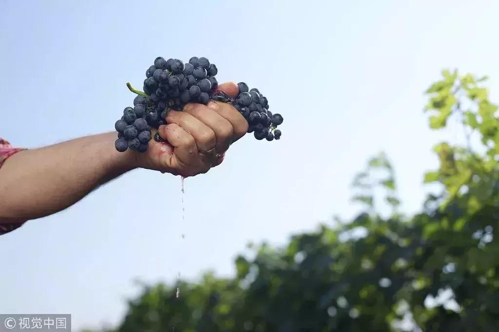 乳房千万不要随便揉!两个病例告诉你真相!