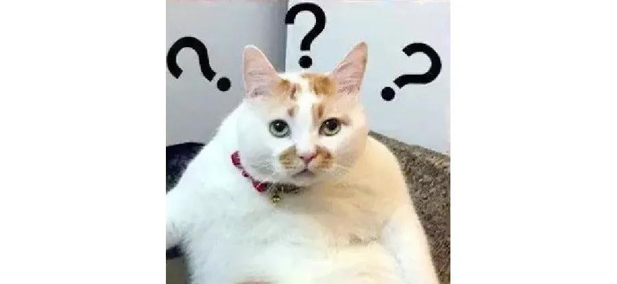 扫雷这款游戏是如何消失的呢,扫雷为啥不见了