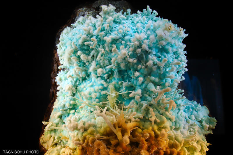 衢州飞越丛林探险乐园,浙江衢州深山