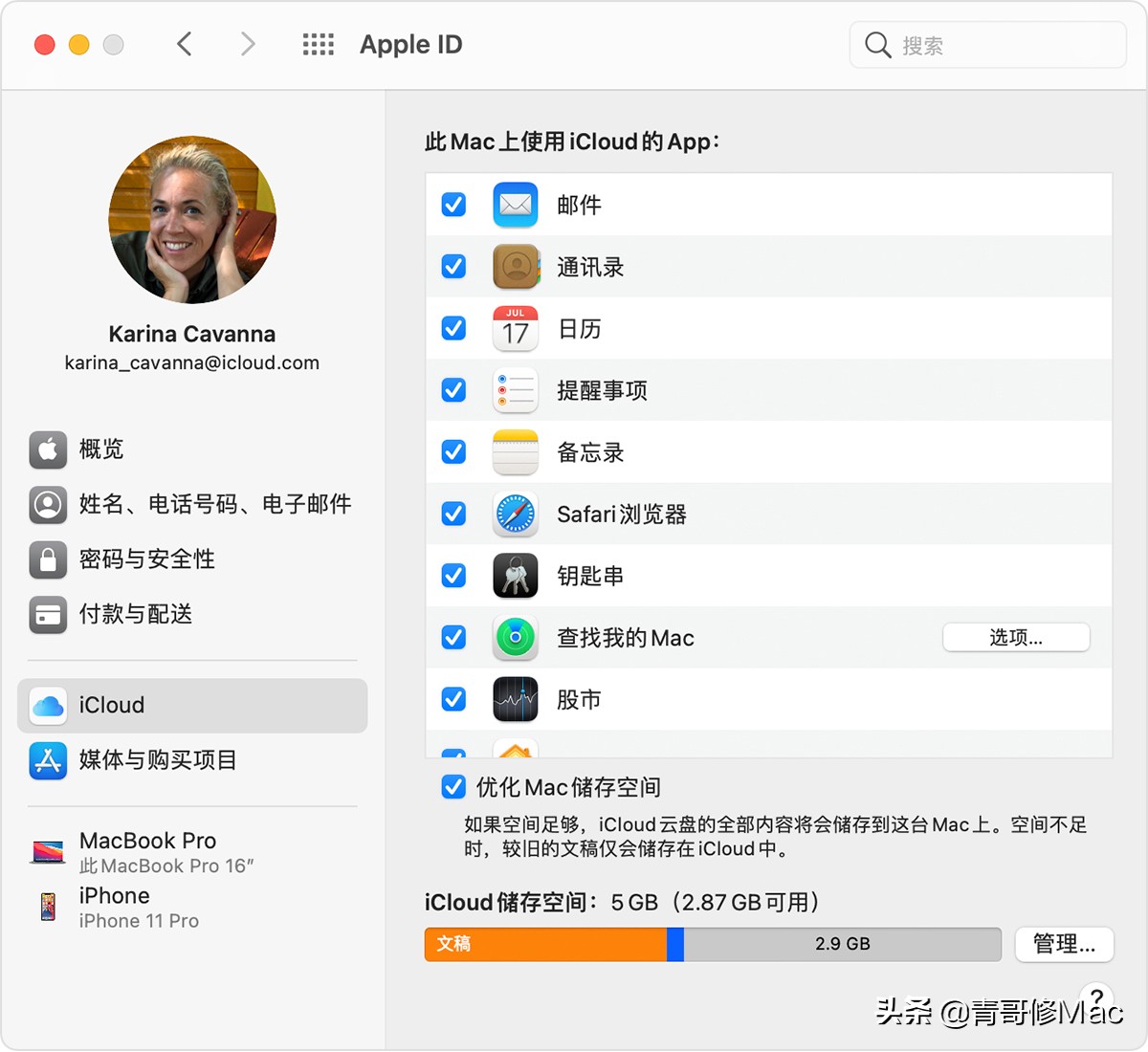 mac出现1008f必须重装吗,mac启动显示问号