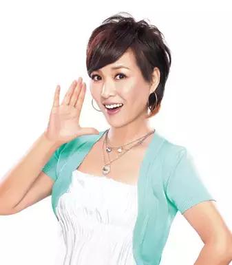 河北籍明星一览表,河北的明星名单大全