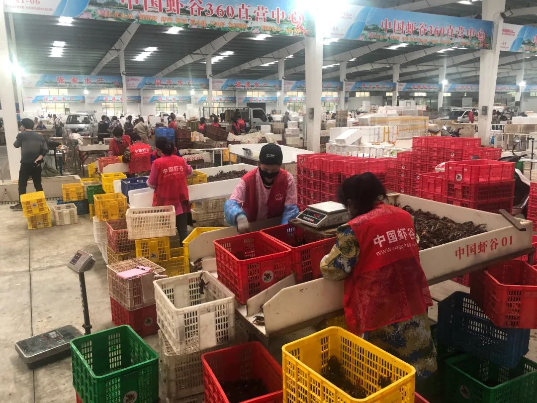 醉倒在“大虾之城”