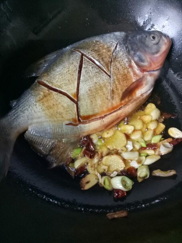 红烧海鲳鱼教程,红烧鲳鱼的做法视频王刚